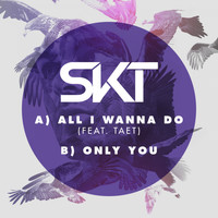 DJ S.K.T - All I Wanna Do