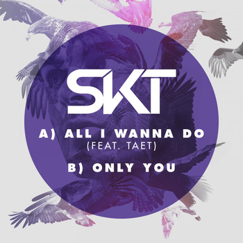 DJ S.K.T - All I Wanna Do