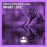 Denis Kenzo & Vika - What I See