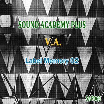 Various Artists - Label Memory 2