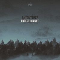 Antony Deep - Forest In Night