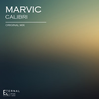 Marvic - Calibri