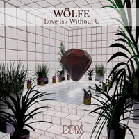 Wolfe - Love Is / Without You
