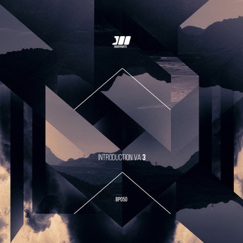 Various Artists - Introduction VA#3