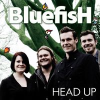 Bluefish - Head Up