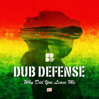 Dub Defense - Why Did You Leave Me