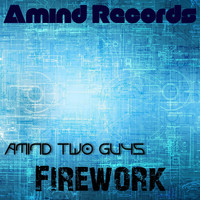 Amind Two Guys - Firework