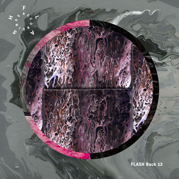 Various Artists - FLASH Back 13