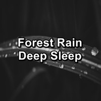 Rain Storm & Thunder Sounds - Forest Rain Deep Sleep