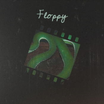 Various Artists - Floppy