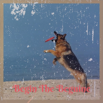 Various Artists - Begin the Beguine