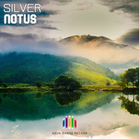 Silver - Notus