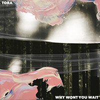 Tora - Why Won't You Wait