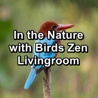 Relax Bird Sounds - In the Nature with Birds Zen Livingroom