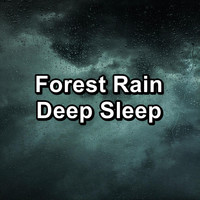 Baby Rain - Forest Rain Deep Sleep