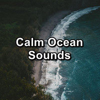 Ocean Waves Sleep Aid - Calm Ocean Sounds
