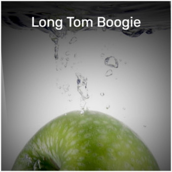 Various Artist - Long Tom Boogie