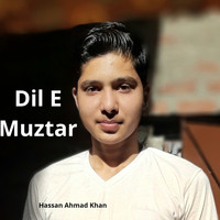 Hassan Ahmad Khan - Dil E Muztar