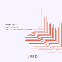 Robin Fett - Mood Hoover