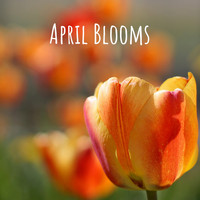 Sabado Playground - April Blooms