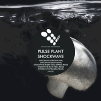 Pulse Plant - Shockwave