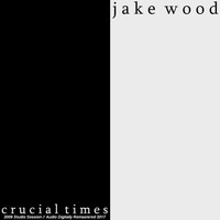 Jake Wood - Crucial Times