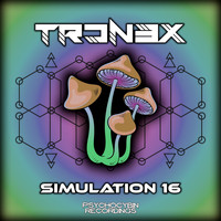 Tron3x - Simulation 16