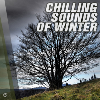 Various Artists - Chilling Sounds of Winter