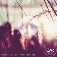 Gabriel Slick - What You Got