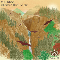 Mr. Bizz - Cross / Highview
