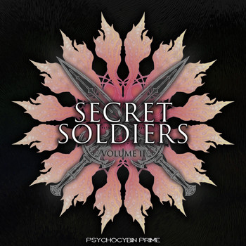 Various Artists - Secret Soldiers Volume II