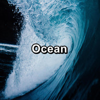 Nature Sounds Radio - Ocean