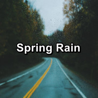 Nature Tribe - Spring Rain
