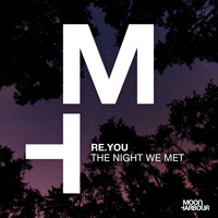 Re.You - The Night We Met