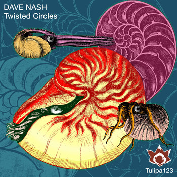 Dave Nash - Twisted Circles