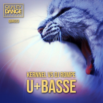 Kernnel vs DJ Rompe - U+Basse