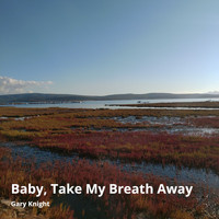 Gary Knight - Baby, Take My Breath Away