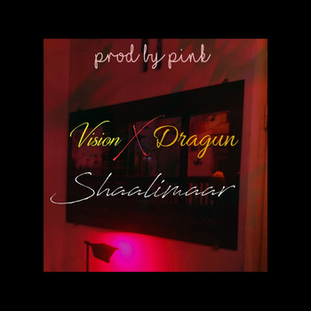 Vision - Shaalimaar (feat. Dragun)