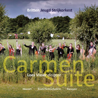 Britten Jeugd Strijkorkest / Loes Visser - Britten 2014