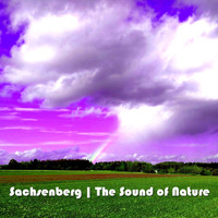 Sachsenberg - The Sound of Nature