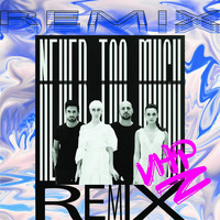 Vittoria And The Hyde Park - Never Too Much (Remixes)