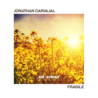 Jonathan Carvajal - Fragile