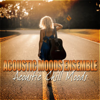 Acoustic Moods Ensemble - Acoustic Chill Moods