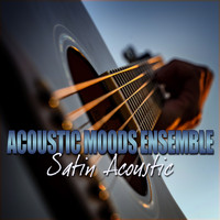 Acoustic Moods Ensemble - Satin Acoustic