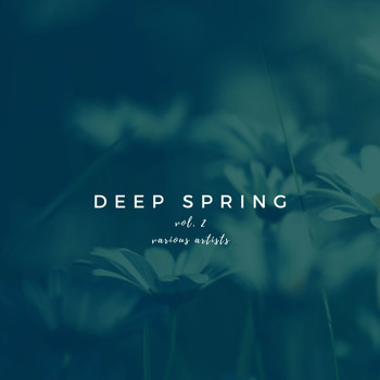 Various Artists - Deep Spring, Vol. 2
