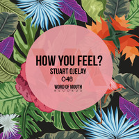 Stuart Ojelay - How You Feel?