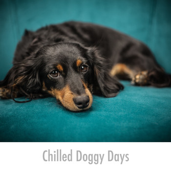 Relaxing Dog Music - Chilled Doggy Days