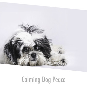 Relaxing Dog Music - Calming Dog Peace