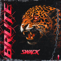 SWACK - Brute
