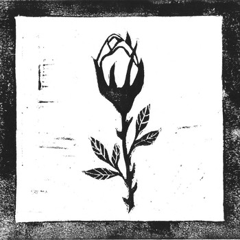 Kaizer - Crying Like a Rose